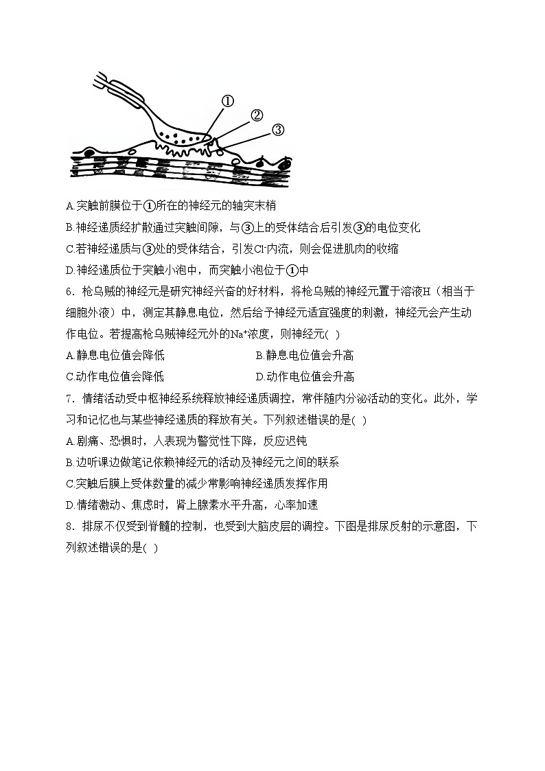 河南省驻马店市驿城区部分高中2024-2025学年高二上学期10月月考生物试卷(含答案)第2页