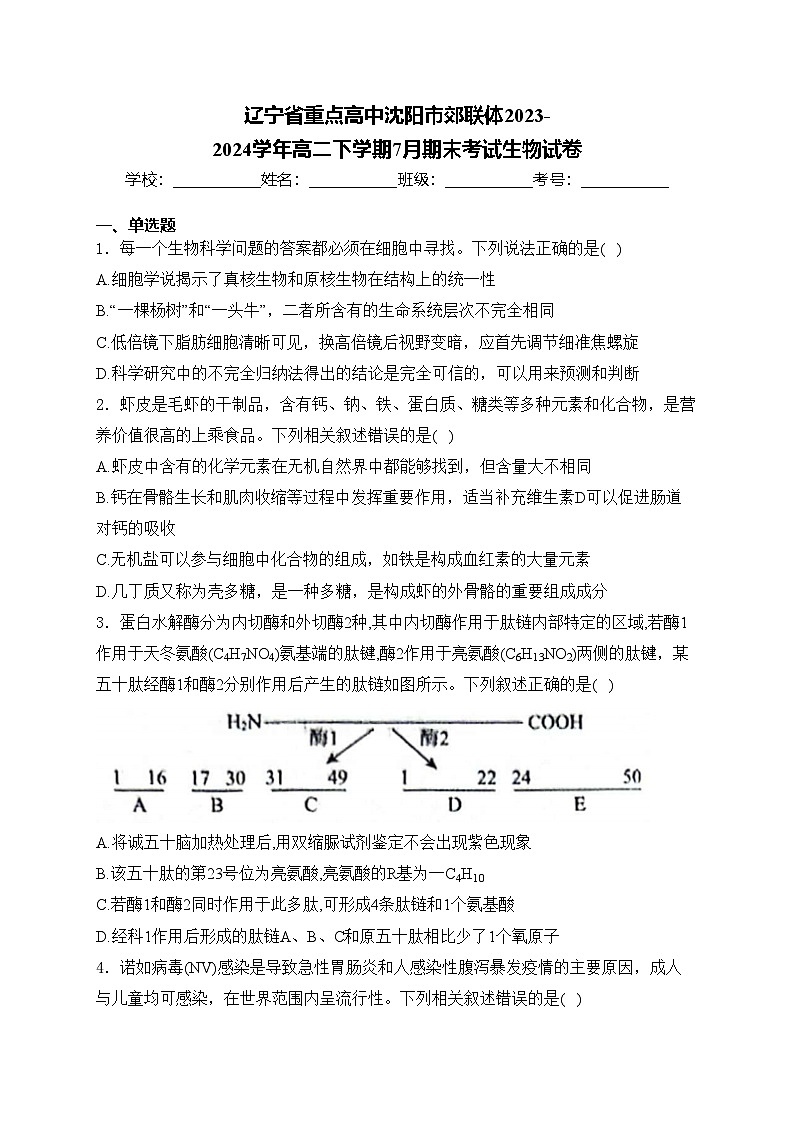 辽宁省重点高中沈阳市郊联体2023-2024学年高二下学期7月期末考试生物试卷(含答案)第1页