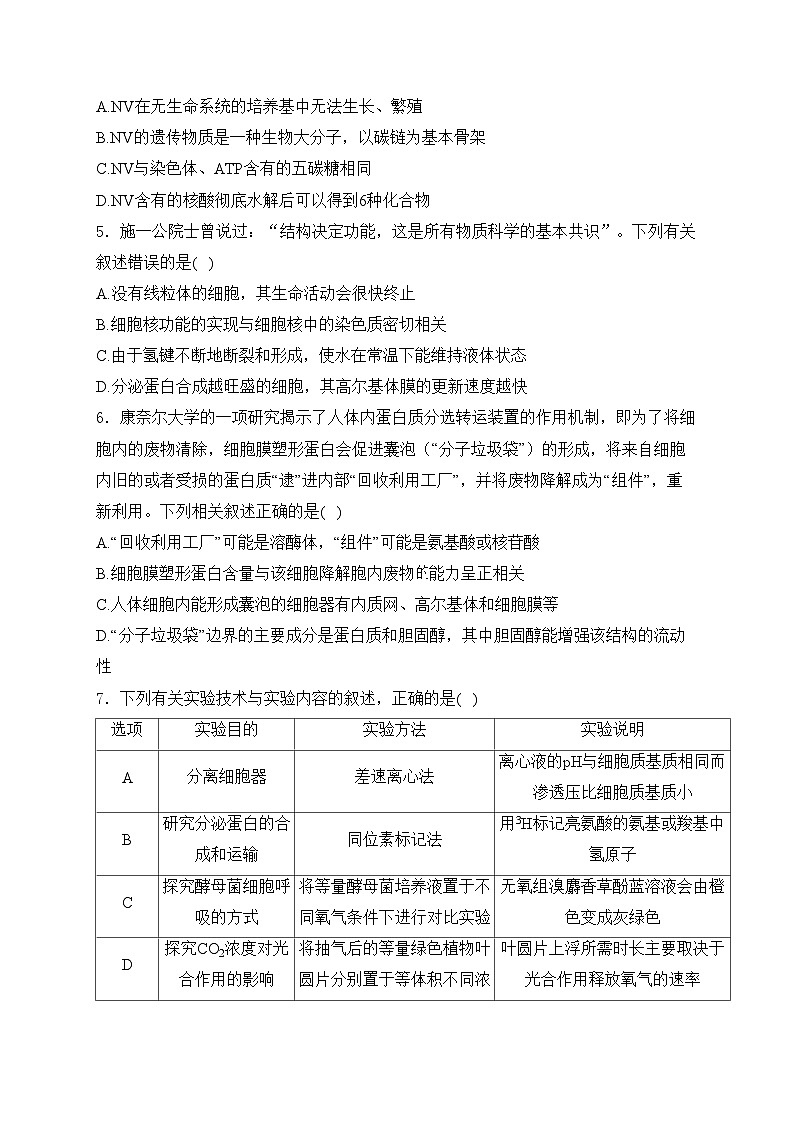 辽宁省重点高中沈阳市郊联体2023-2024学年高二下学期7月期末考试生物试卷(含答案)第2页