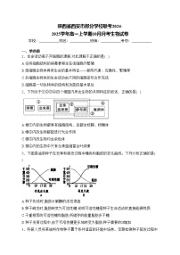 陜西省西安市部分學(xué)校聯(lián)考2024-2025學(xué)年高一上學(xué)期10月月考生物試卷(含答案)