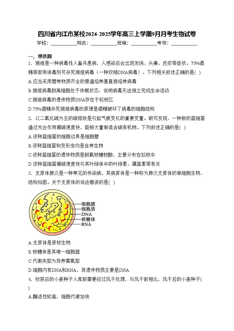 四川省内江市某校2024-2025学年高三上学期9月月考生物试卷(含答案)第1页