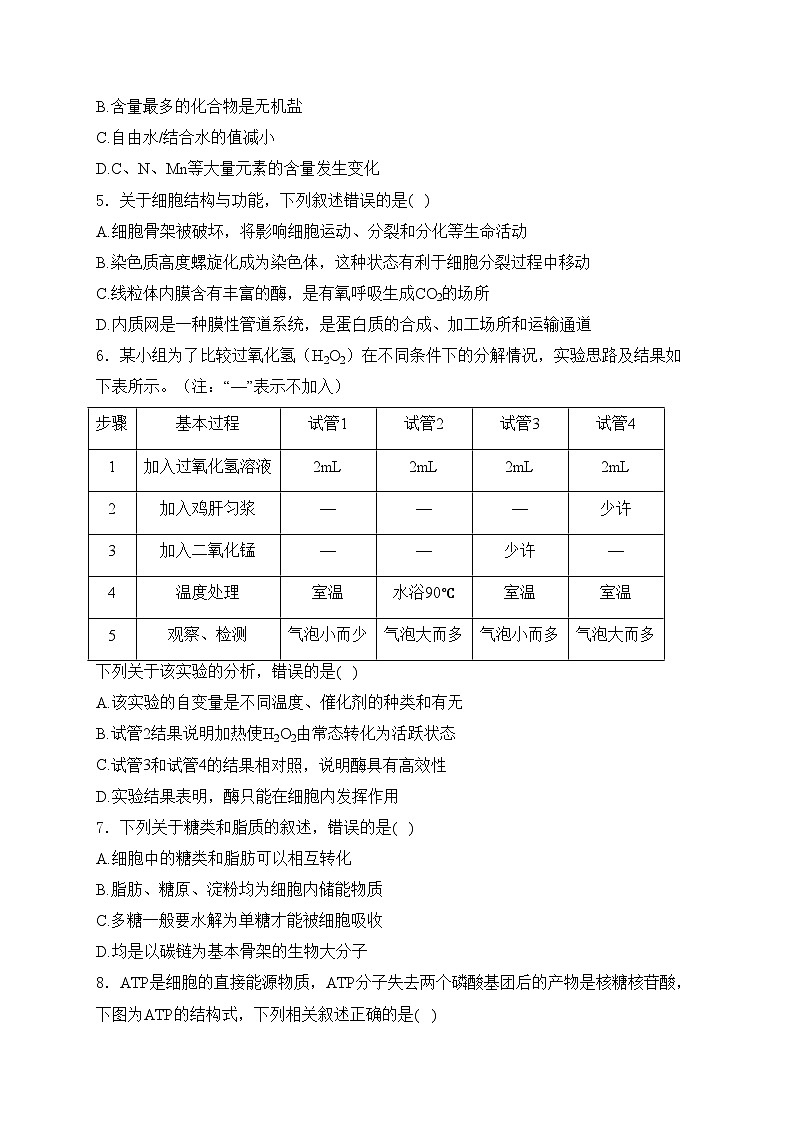 四川省内江市某校2024-2025学年高三上学期9月月考生物试卷(含答案)第2页