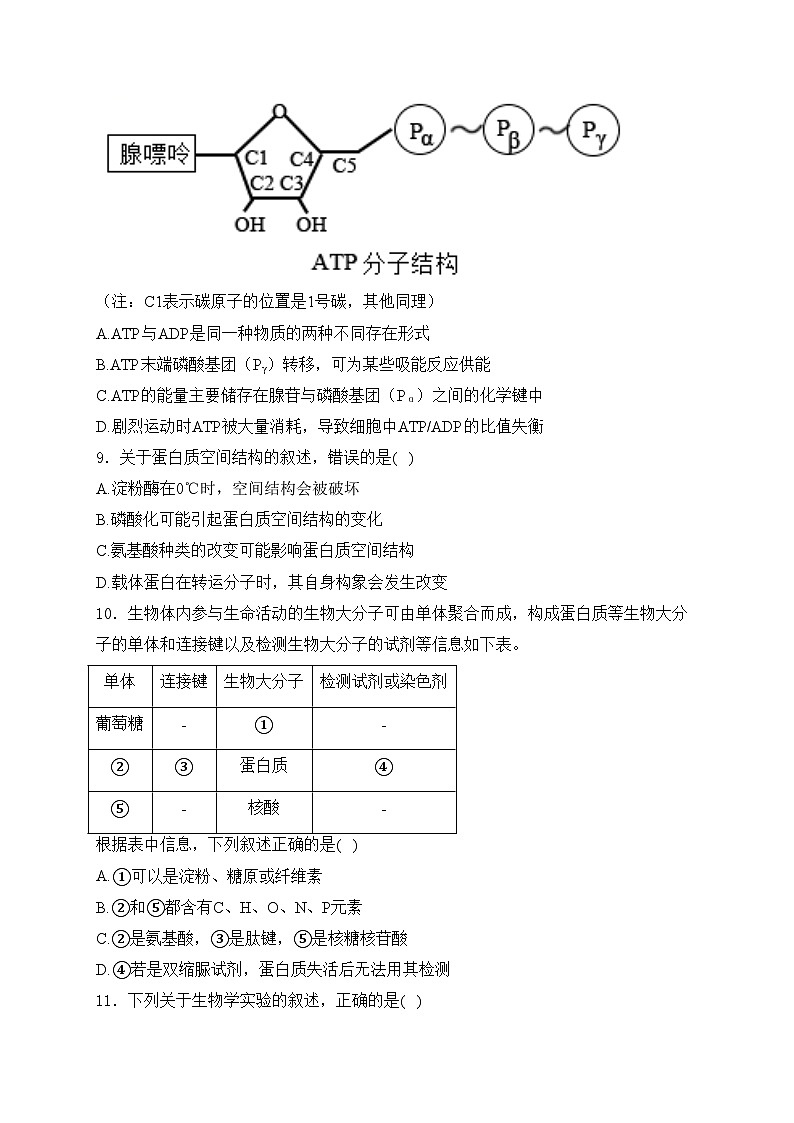 四川省内江市某校2024-2025学年高三上学期9月月考生物试卷(含答案)第3页