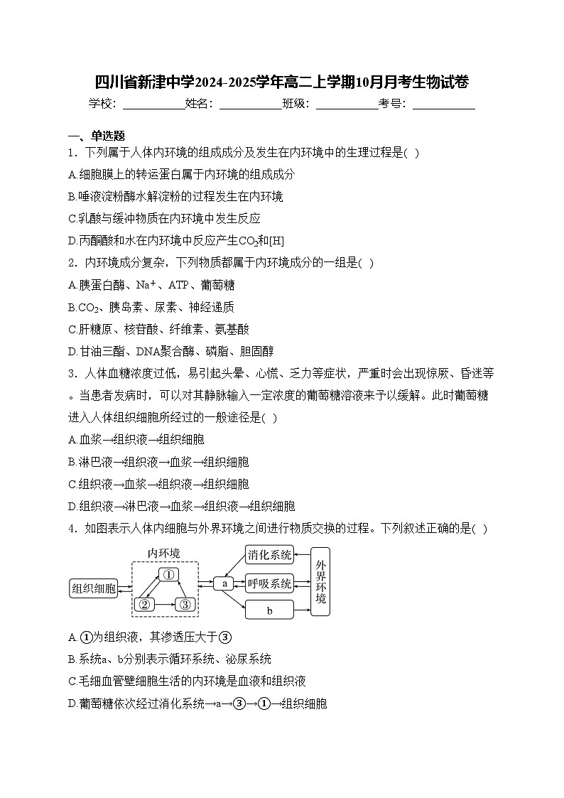 四川省新津中学2024-2025学年高二上学期10月月考生物试卷(含答案)第1页