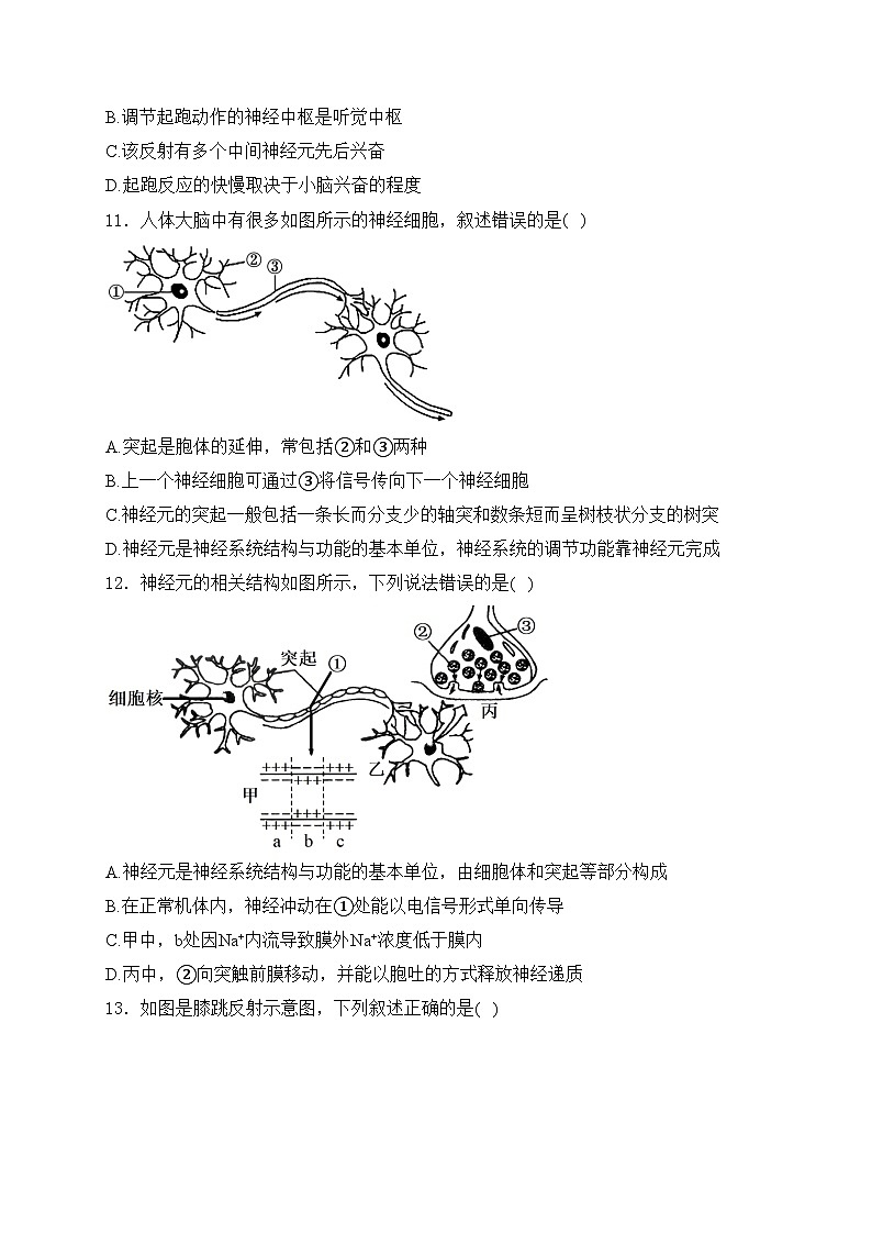 四川省新津中学2024-2025学年高二上学期10月月考生物试卷(含答案)第3页