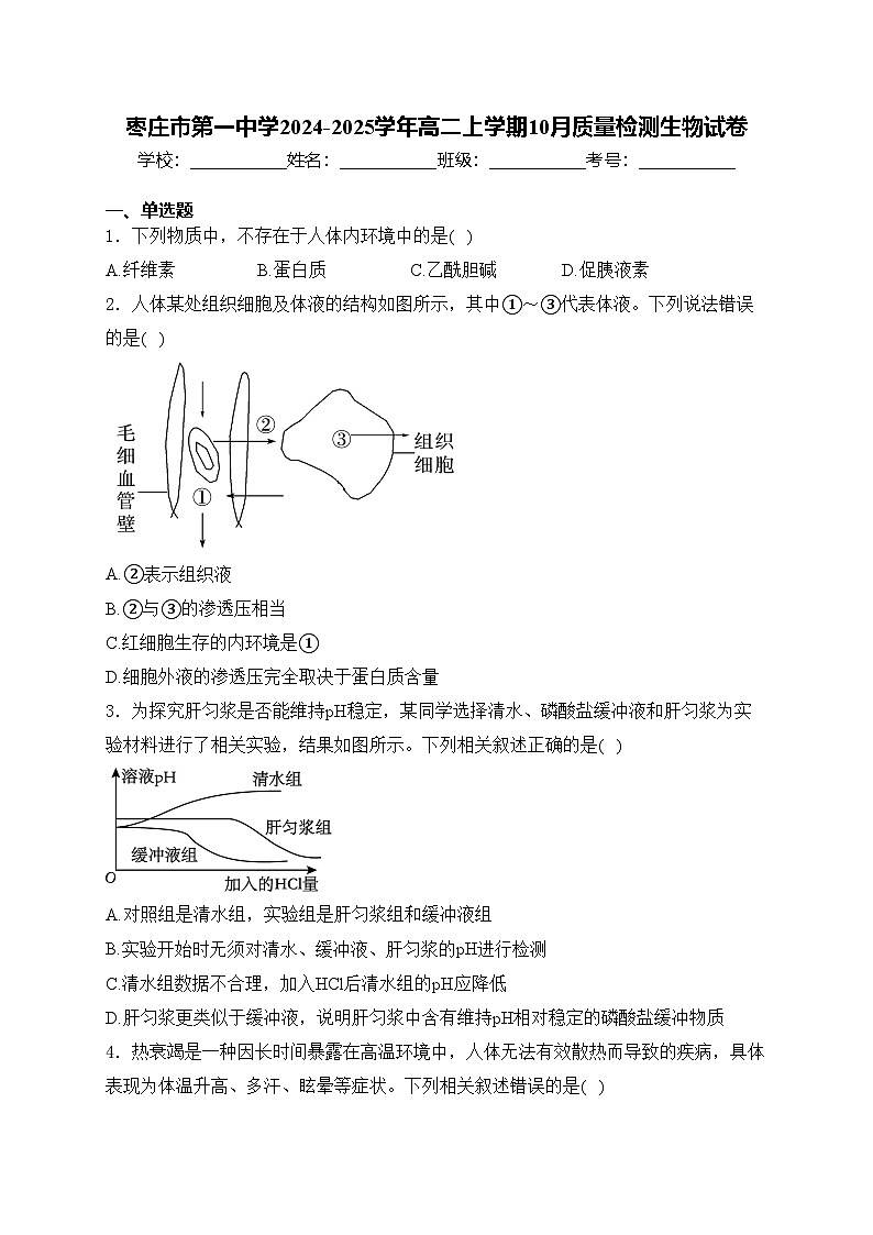 枣庄市第一中学2024-2025学年高二上学期10月质量检测生物试卷(含答案)第1页