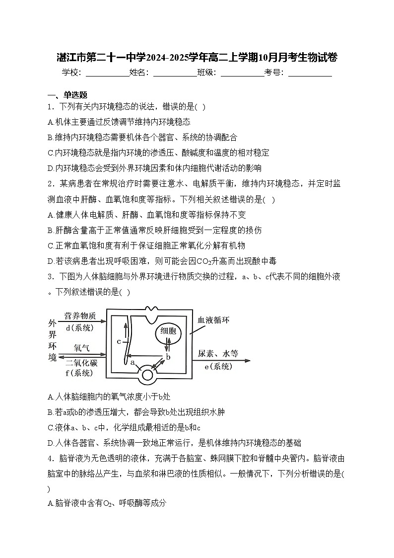 湛江市第二十一中学2024-2025学年高二上学期10月月考生物试卷(含答案)第1页