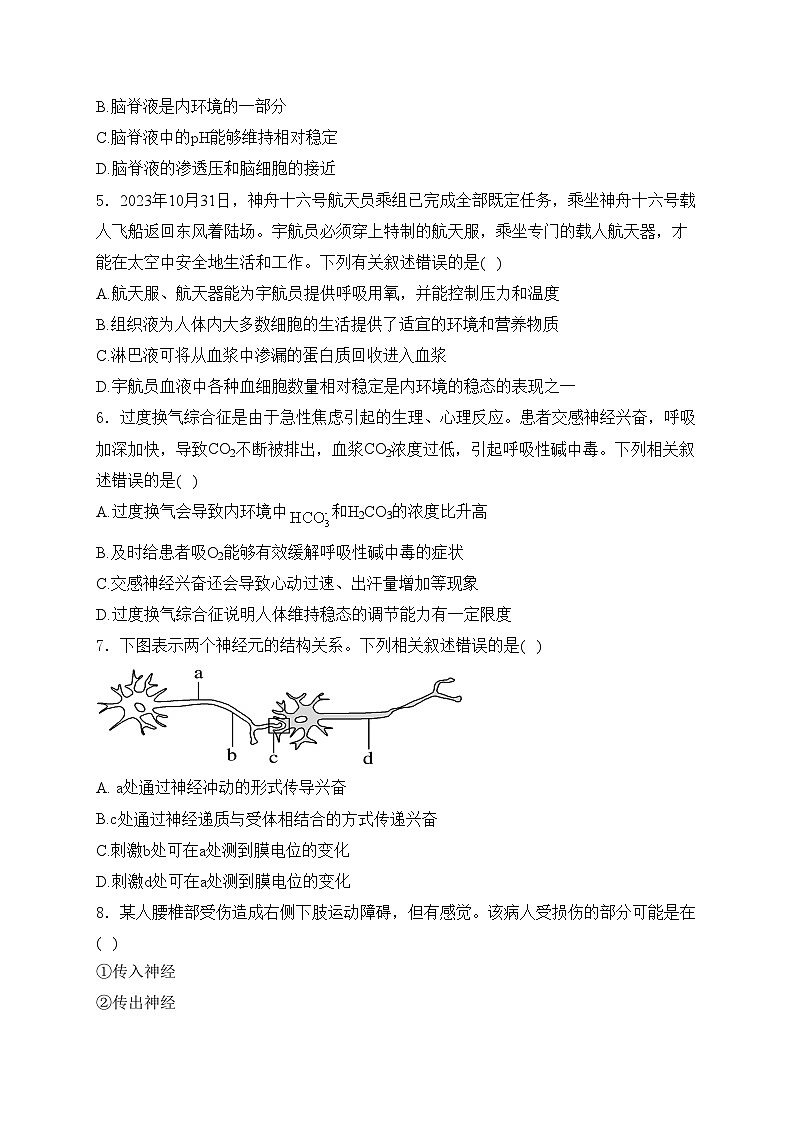 湛江市第二十一中学2024-2025学年高二上学期10月月考生物试卷(含答案)第2页