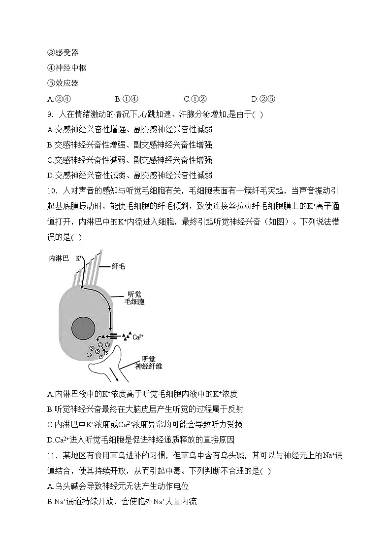 湛江市第二十一中学2024-2025学年高二上学期10月月考生物试卷(含答案)第3页