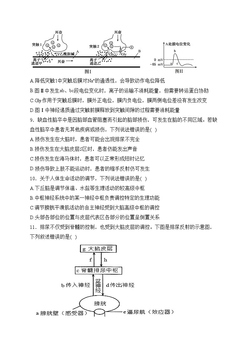招远市第二中学2024-2025学年高二上学期第一次月考(期中模拟)生物试卷(含答案)第3页