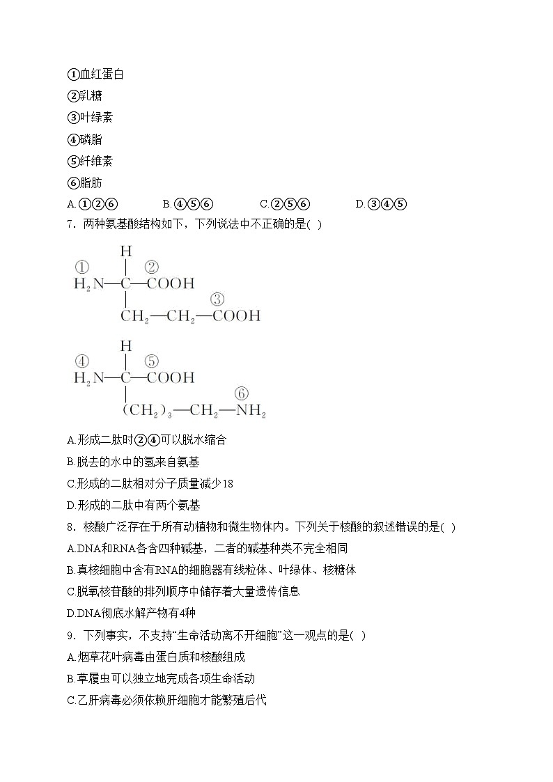 浙江省丽水市五校2024-2025学年高一上学期10月联考生物试卷(含答案)第2页