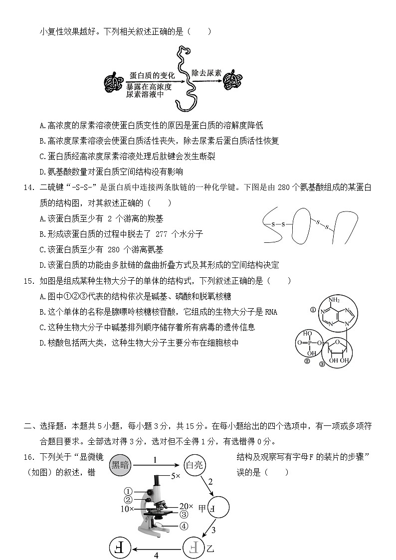 吉林省长春市朝阳区长春市第十七中学2024-2025学年高一上学期10月月考生物试题第3页