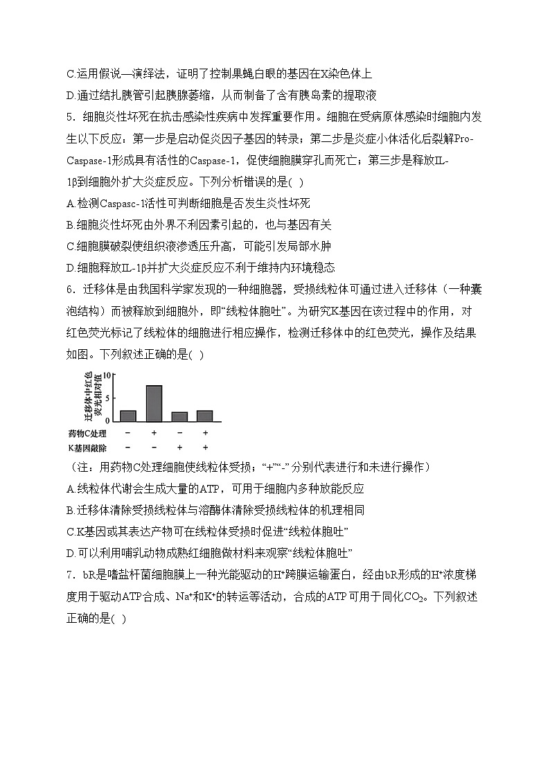 湖北省云学部分重点高中2024-2025学年高二上学期10月联考生物试卷(含答案)第2页
