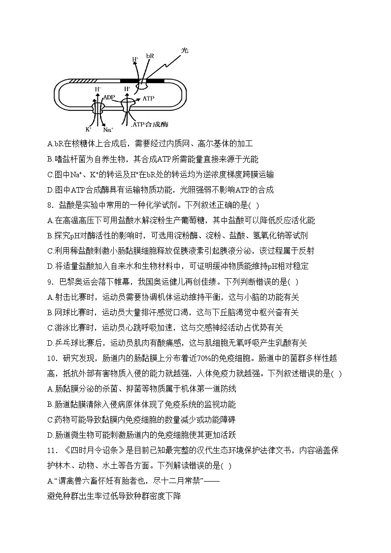 湖北省云学部分重点高中2024-2025学年高二上学期10月联考生物试卷(含答案)第3页