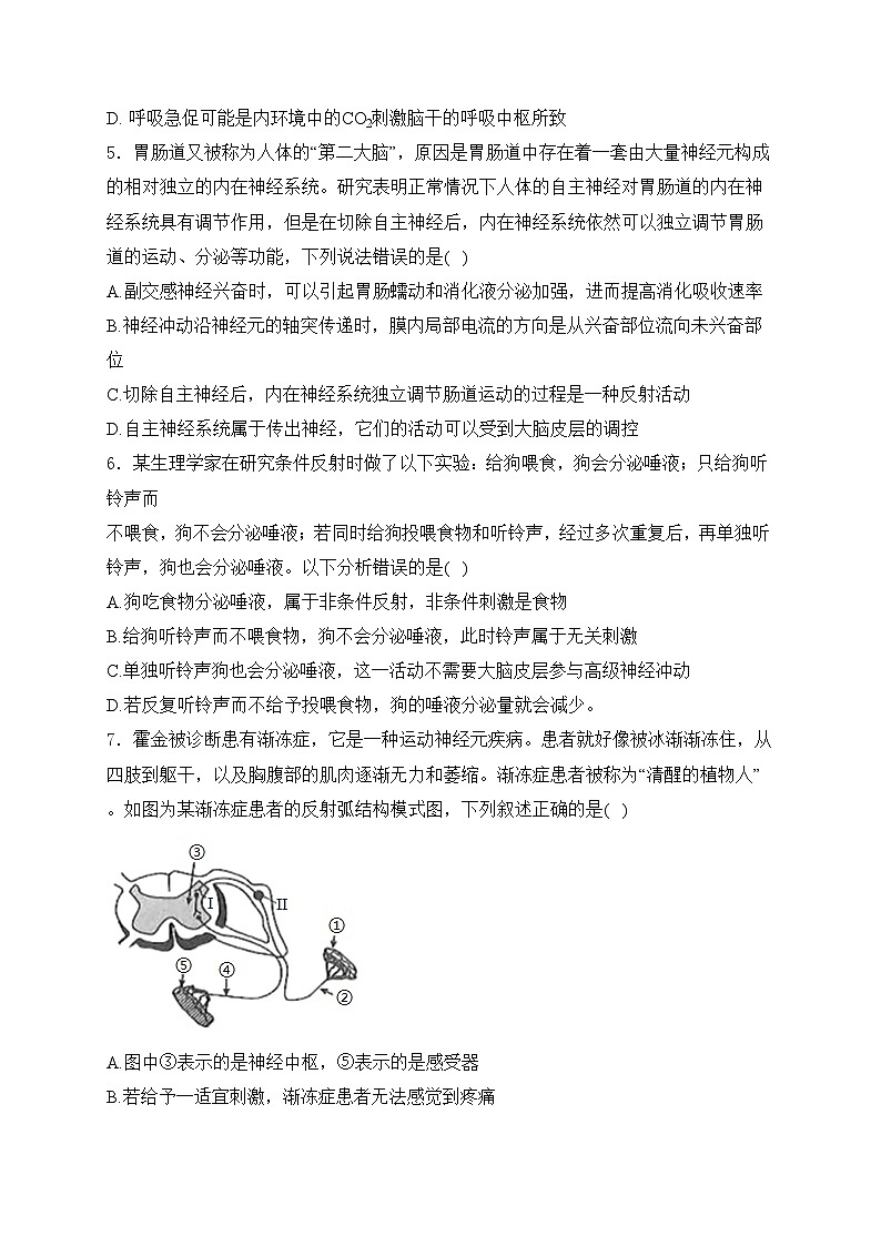 雷州市第二中学2024-2025学年高二上学期10月第一次月考生物试卷(含答案)第2页