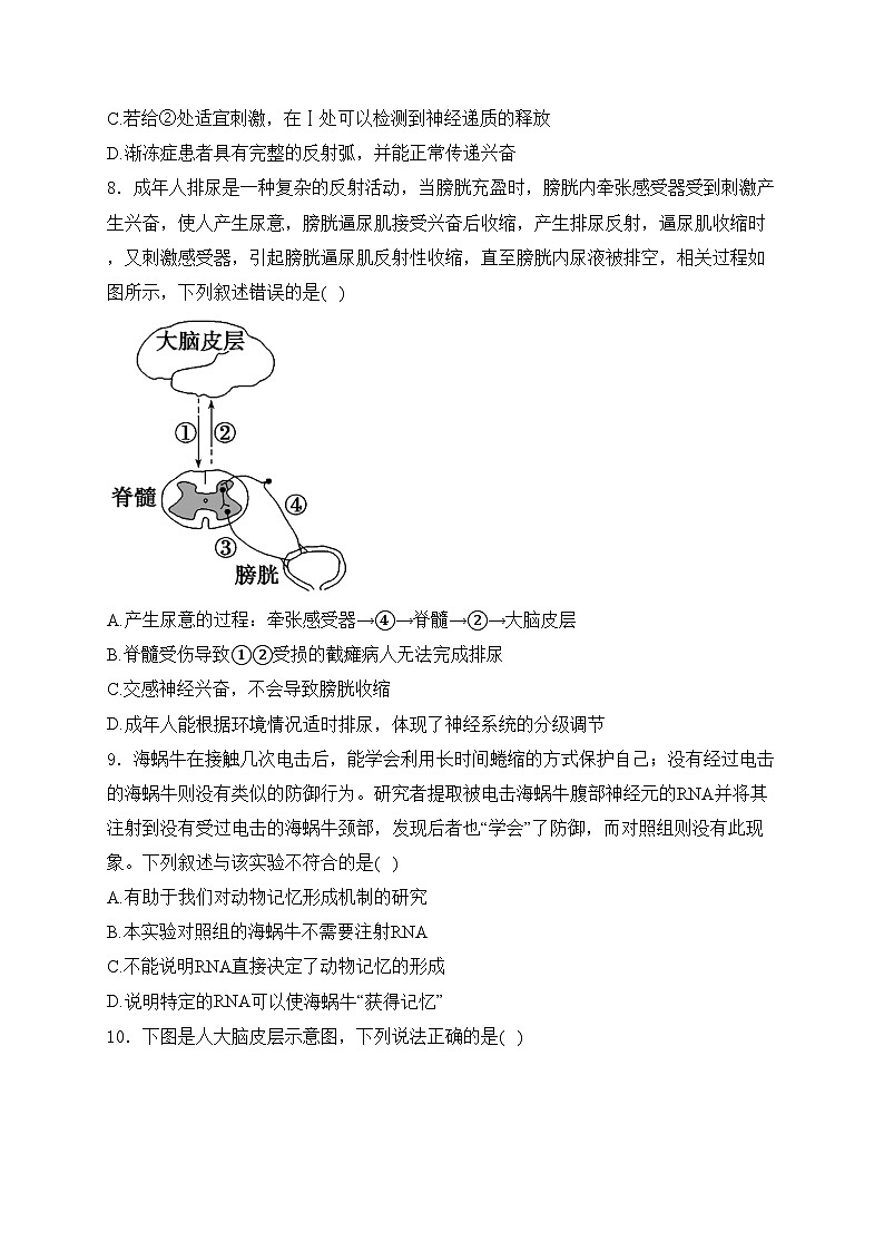 雷州市第二中学2024-2025学年高二上学期10月第一次月考生物试卷(含答案)第3页