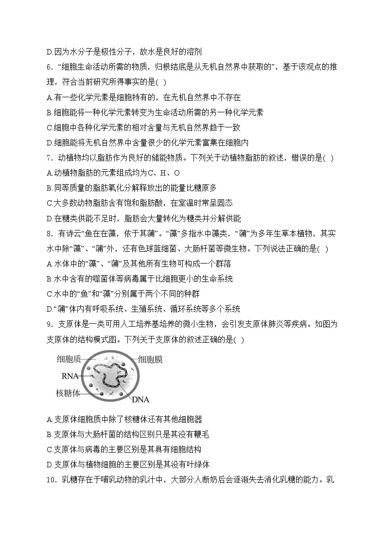 柳州高级中学2024-2025学年高一上学期10月月考生物试卷(含答案)第2页