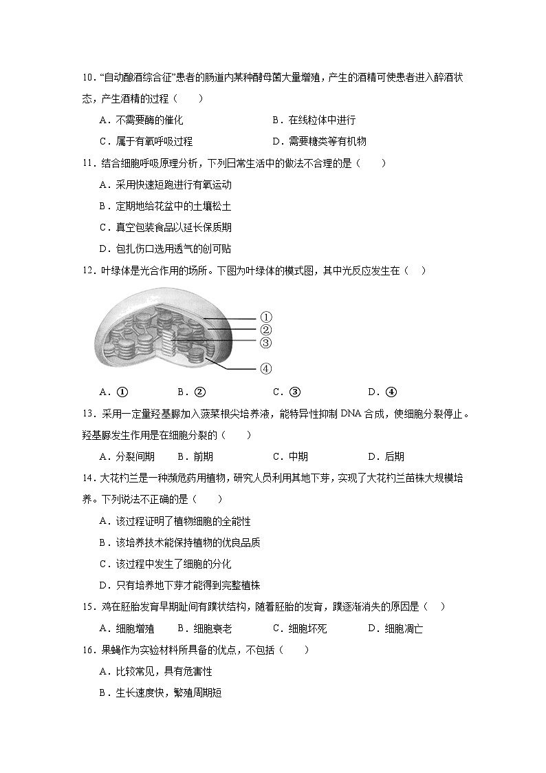 2024年北京市普通高中学科核心素养适应性测试生物试题第2页