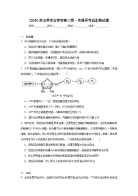 20256届吉林省吉林市高三第一次调研考试生物试题
