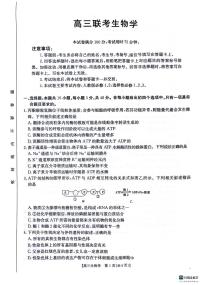 贵州省部分学校2024-2025学年高三上学期10月联考生物试题