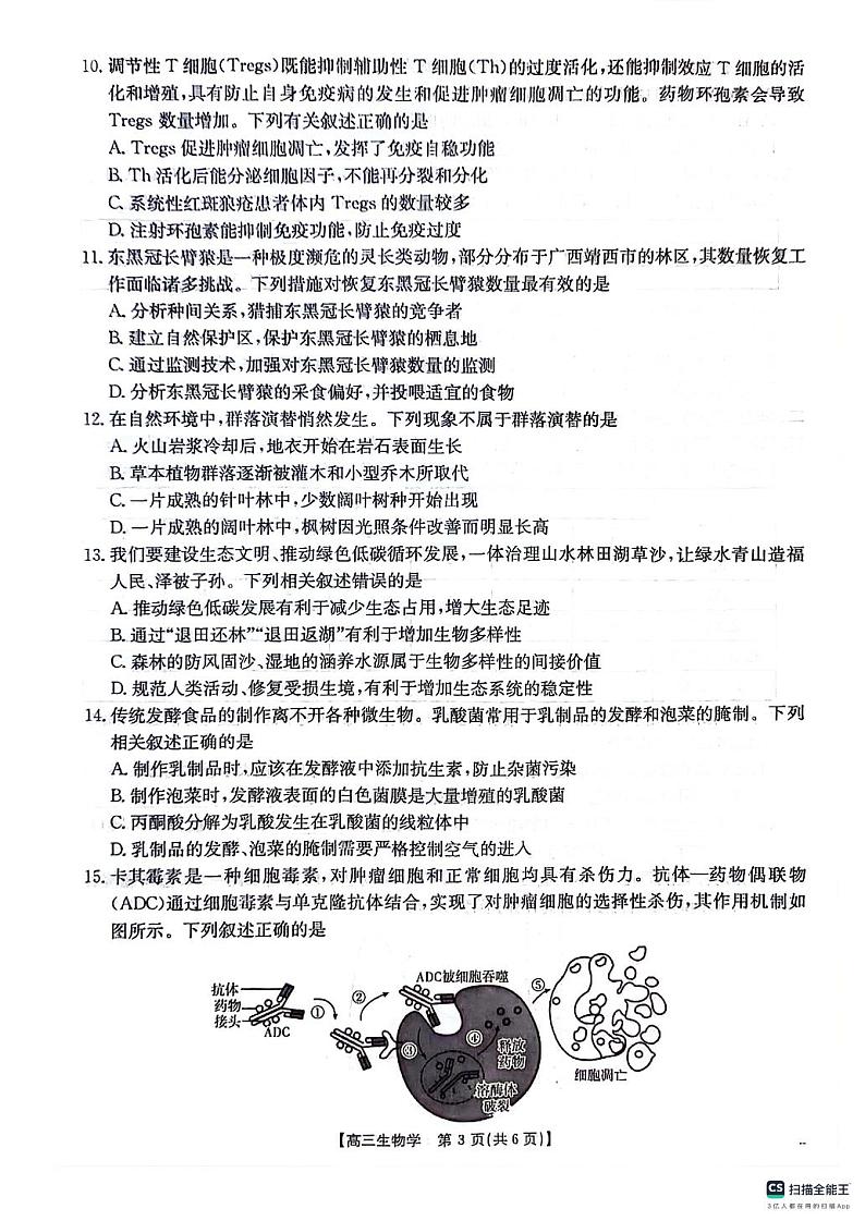 贵州省部分学校2024-2025学年高三上学期10月联考生物试题03
