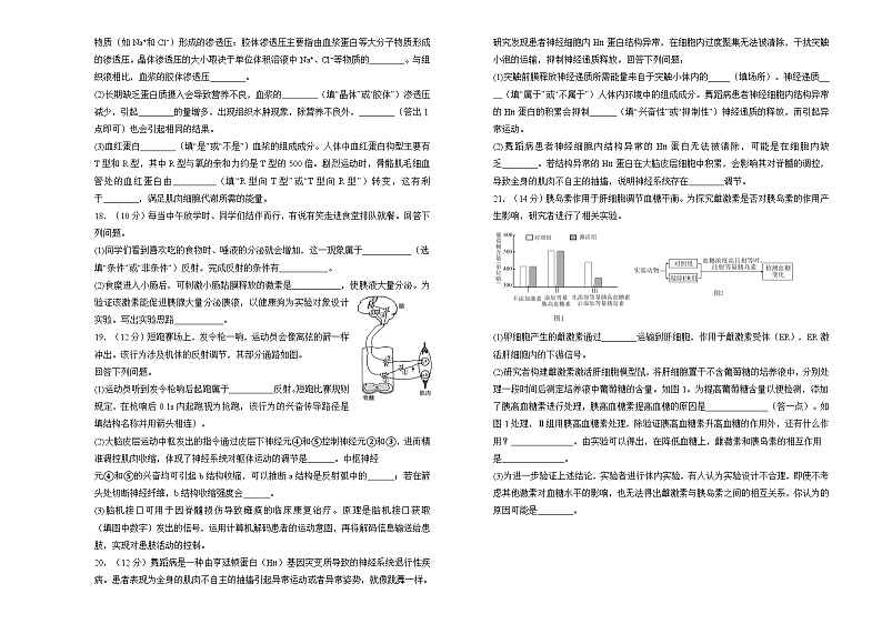湖南省衡阳市衡阳县衡阳县第四中学2024-2025学年高二上学期10月月考生物试题第3页