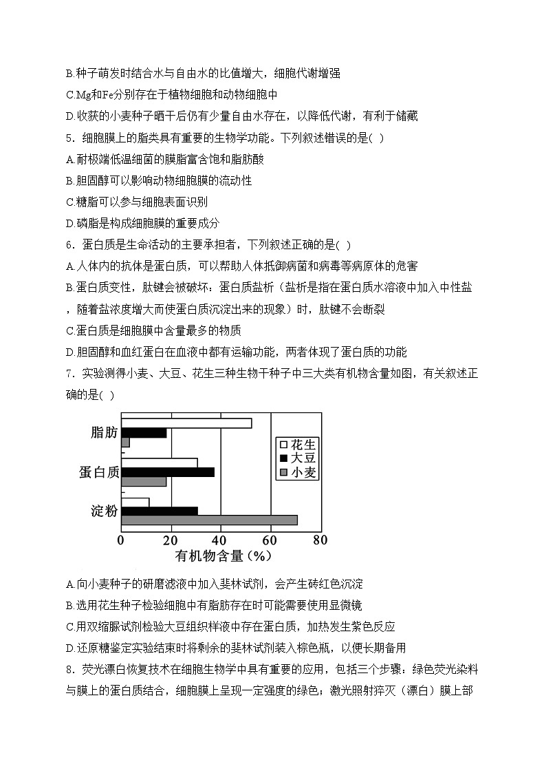 邵东市第三中学2024-2025学年高一上学期第一次月考生物试卷(含答案)第2页