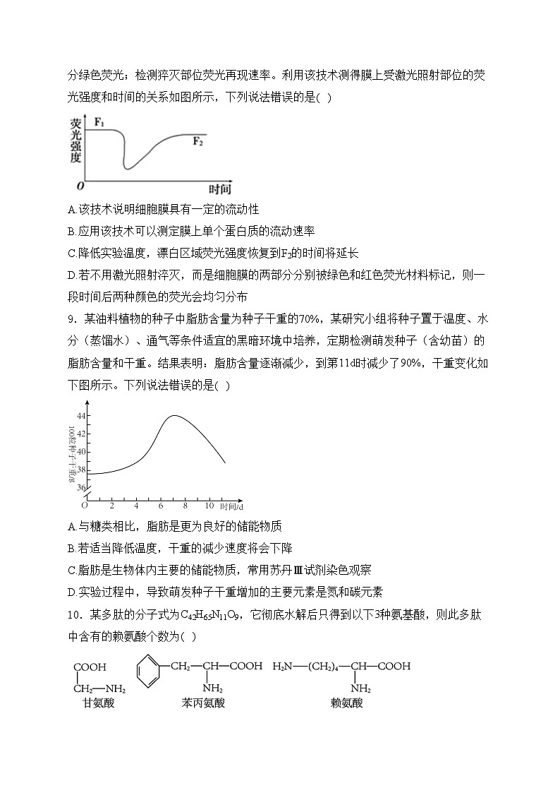 邵东市第三中学2024-2025学年高一上学期第一次月考生物试卷(含答案)第3页