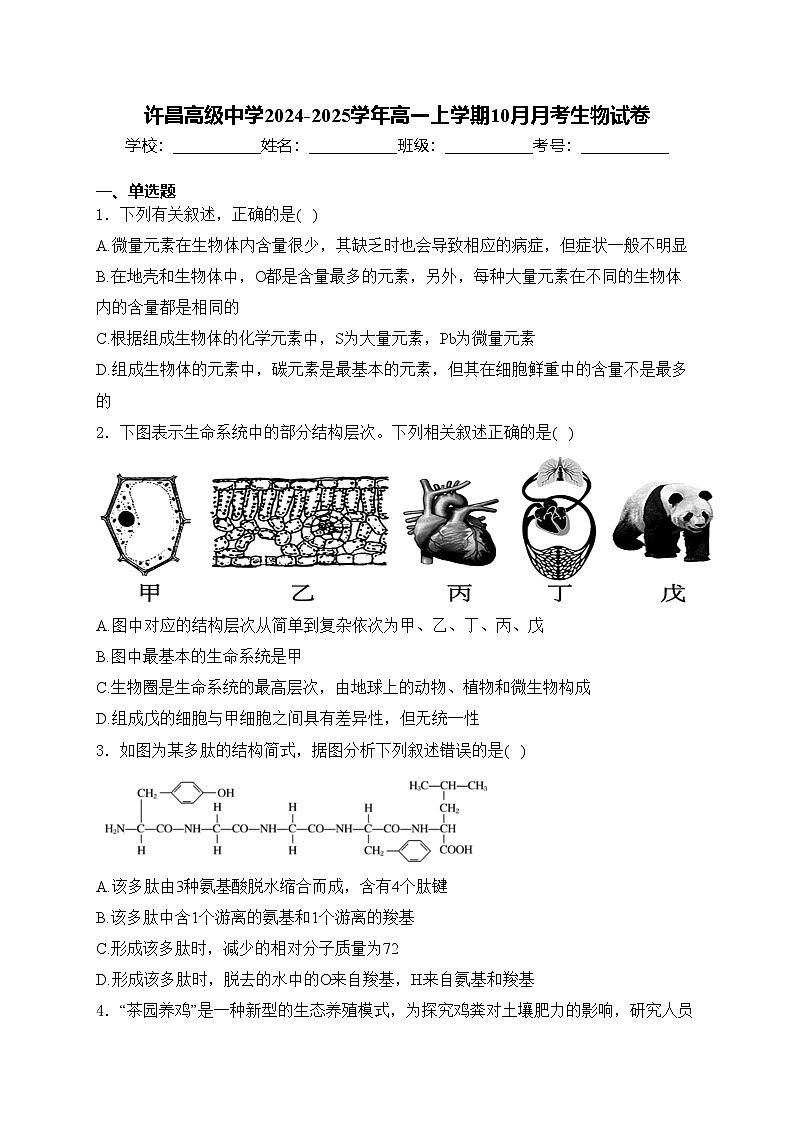 许昌高级中学2024-2025学年高一上学期10月月考生物试卷(含答案)第1页