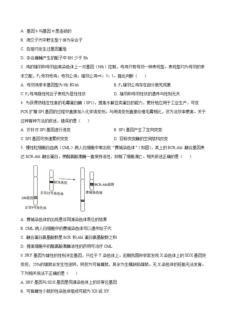 北京市第四十三中学2024-2025学年高三上学期10月月考生物试卷(Word版附解析)02
