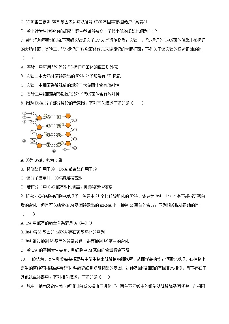 北京市第四十三中学2024-2025学年高三上学期10月月考生物试卷(Word版附解析)03