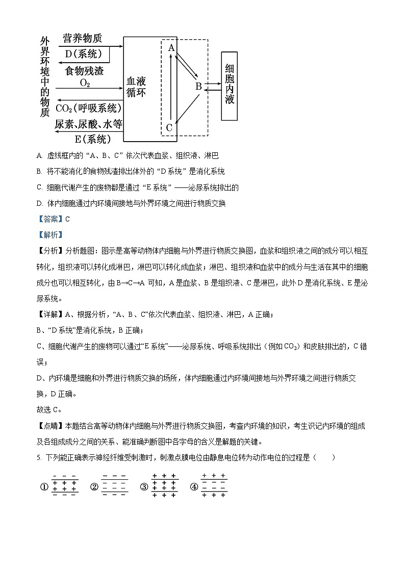 北京市广渠门中学2024-2025学年高二上学期9月月考生物试卷(Word版附解析)03