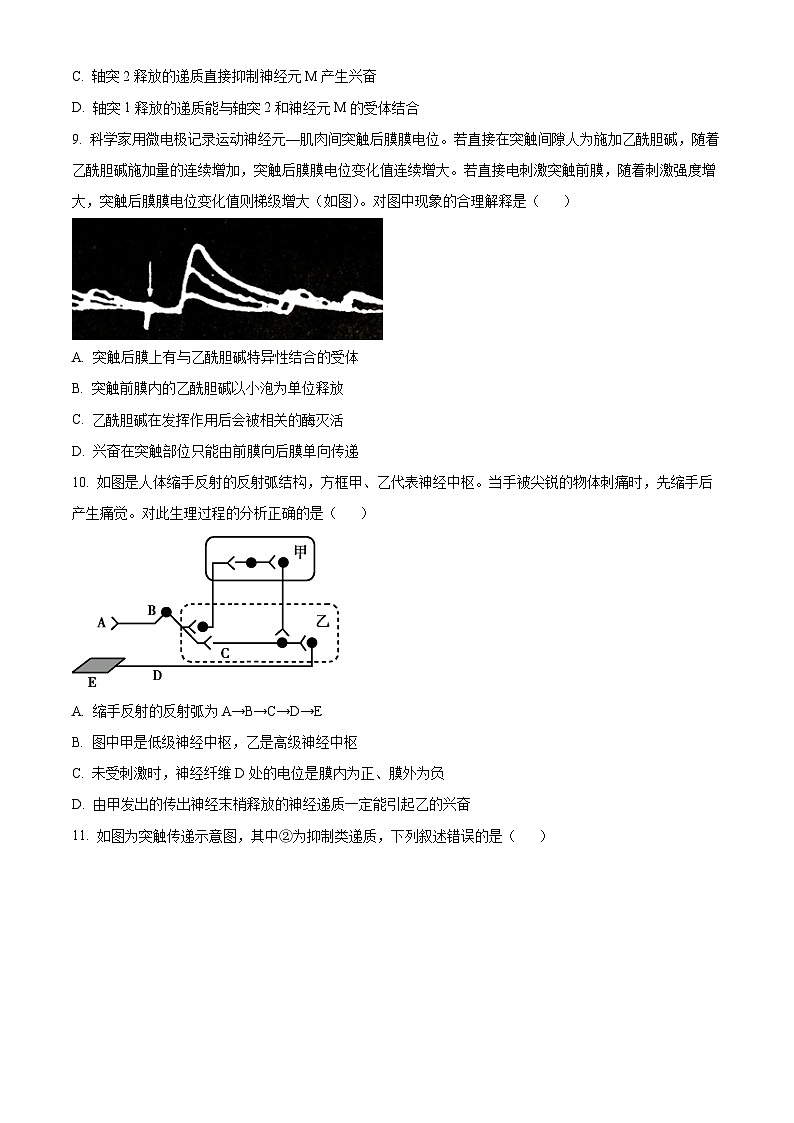 北京市广渠门中学2024-2025学年高二上学期9月月考生物试卷(Word版附解析)03