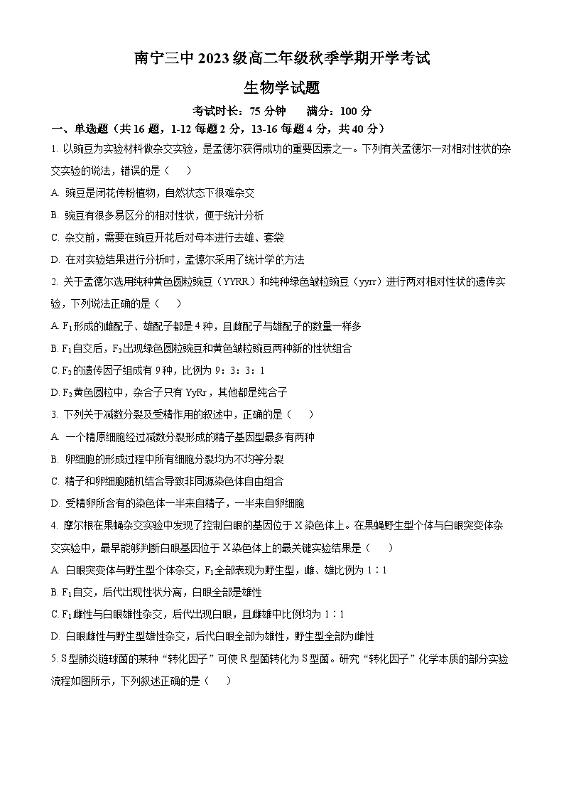 广西南宁市第三中学2024-2025学年高二上学期开学考试生物试卷（Word版附答案）