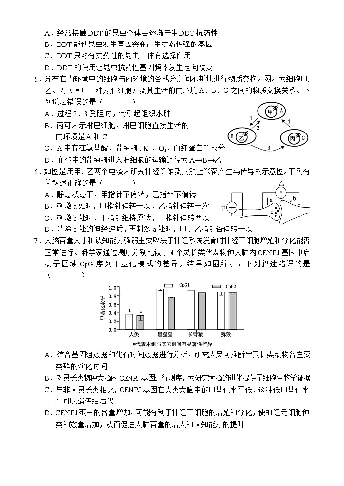 海南省文昌中学2024-2025学年高二上学期第一次月考生物试卷(Word版附答案)第2页