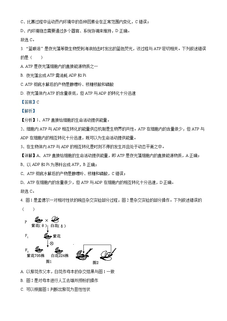 浙江省强基联盟2024-2025学年高二上学期10月联考生物试卷(Word版附解析)02