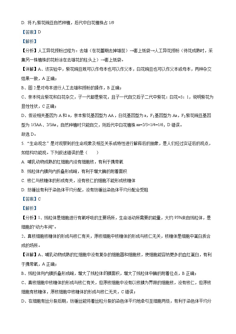 浙江省强基联盟2024-2025学年高二上学期10月联考生物试卷(Word版附解析)03