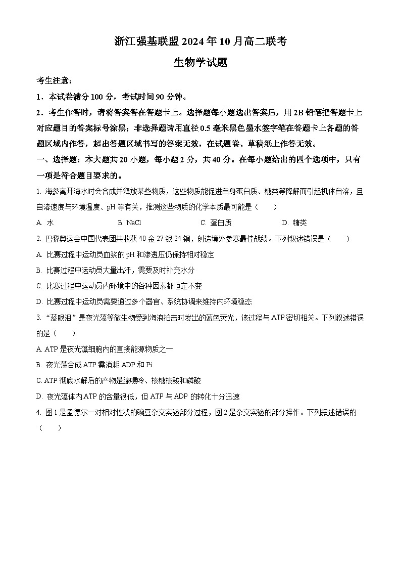 浙江省强基联盟2024-2025学年高二上学期10月联考生物试卷(Word版附解析)01