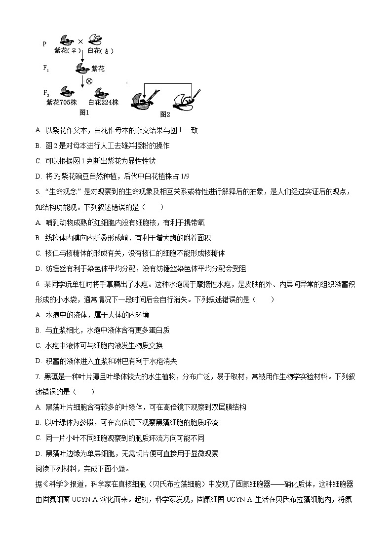 浙江省强基联盟2024-2025学年高二上学期10月联考生物试卷(Word版附解析)02