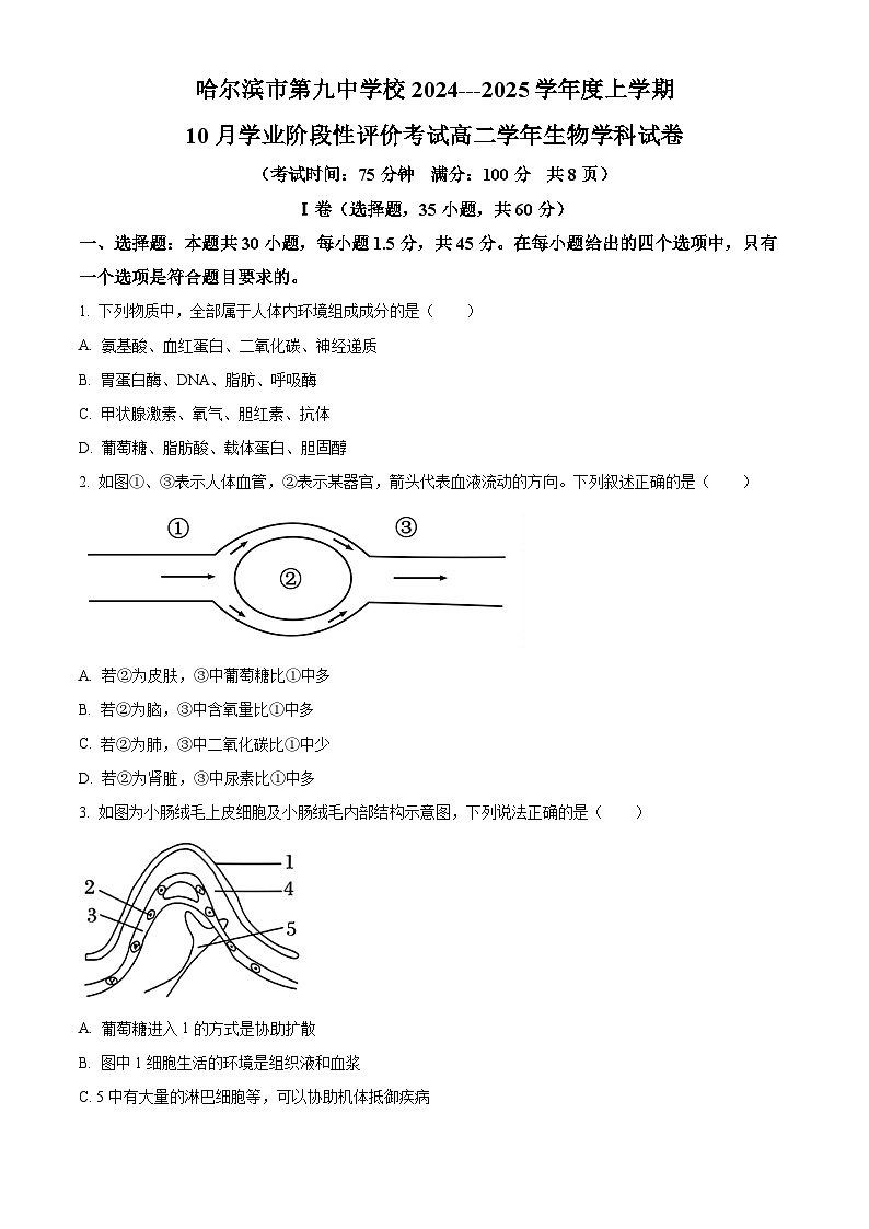 黑龙江省哈尔滨市第九中学2024-2025学年高二上学期10月月考生物试卷(Word版附答案)第1页