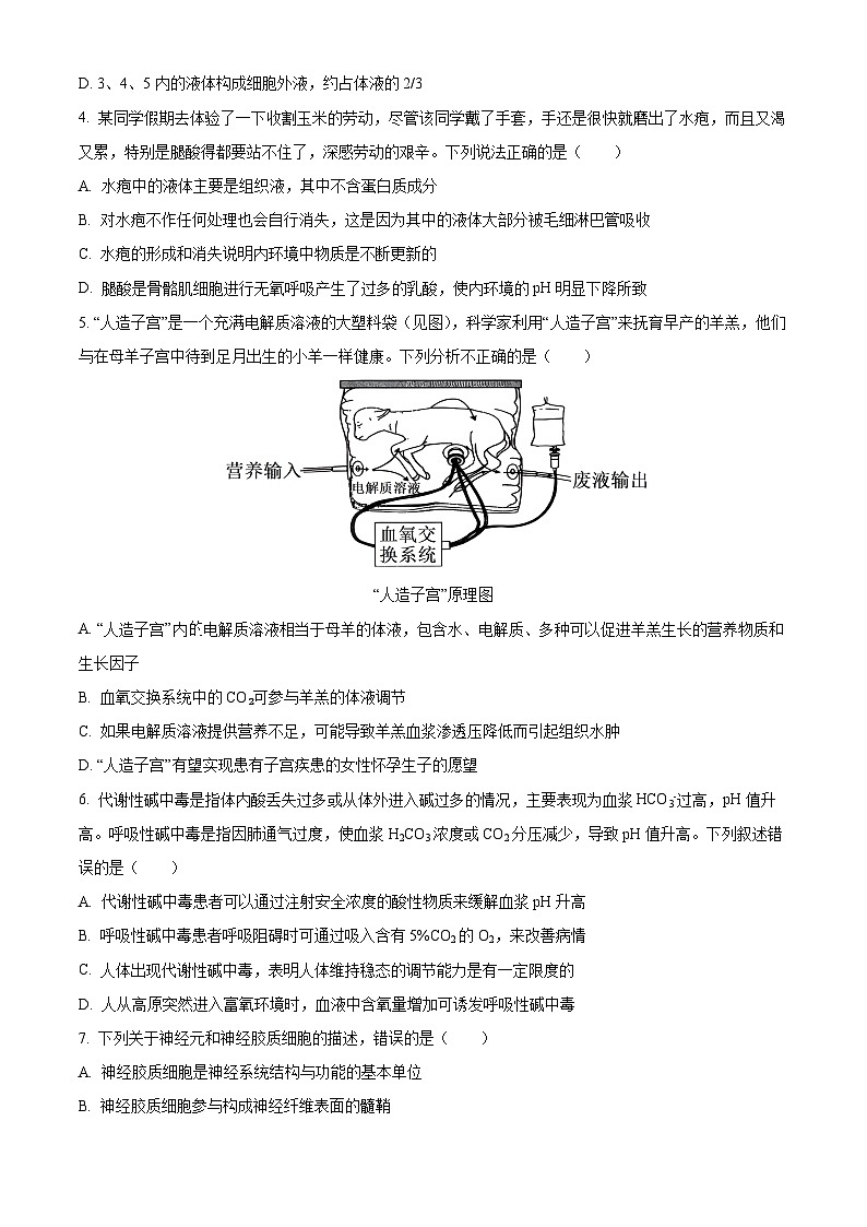 黑龙江省哈尔滨市第九中学2024-2025学年高二上学期10月月考生物试卷(Word版附答案)第2页