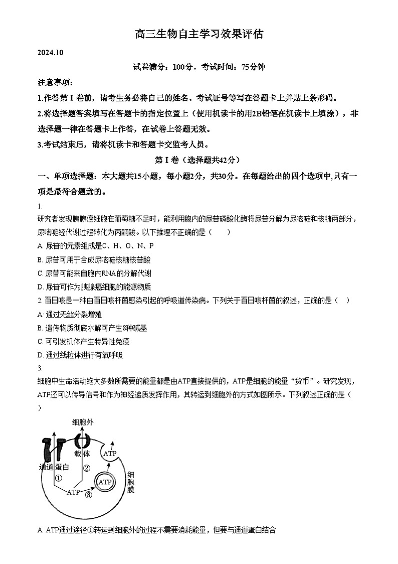 江苏省扬州市广陵区江苏省扬州中学2024-2025学年高三上学期10月月考生物试题 Word版无答案第1页