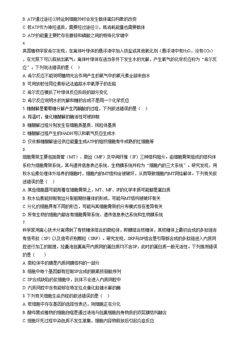 江苏省扬州市广陵区江苏省扬州中学2024-2025学年高三上学期10月月考生物试题 Word版无答案第2页