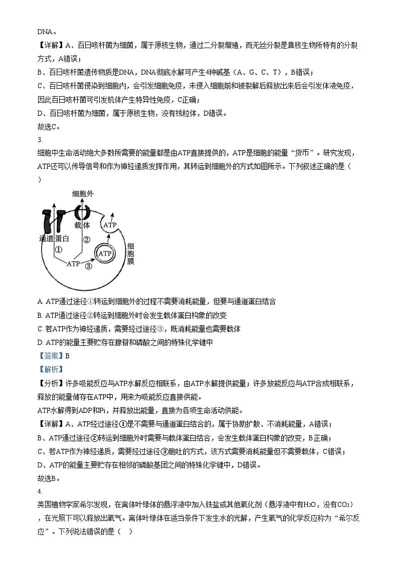 江苏省扬州市广陵区江苏省扬州中学2024-2025学年高三上学期10月月考生物试题 Word版含解析第2页