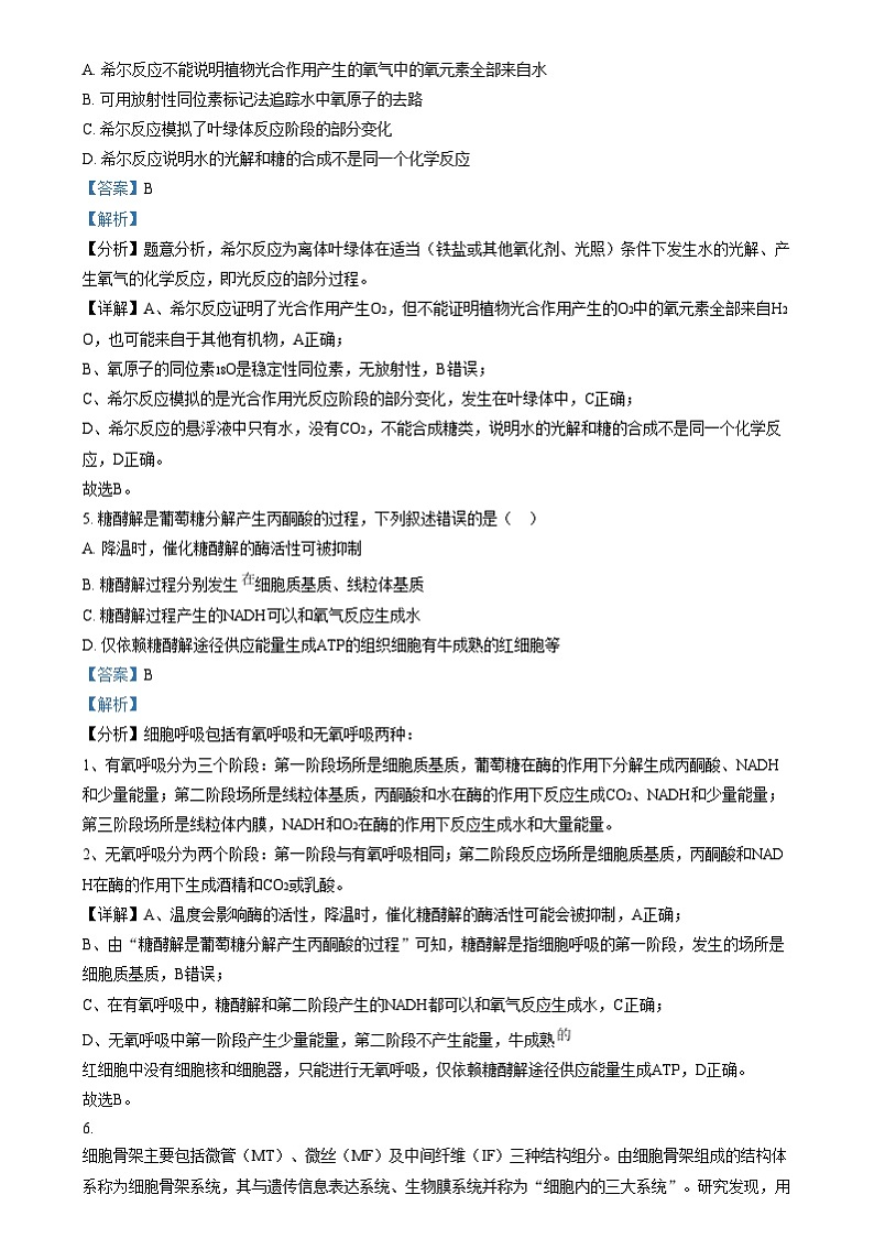 江苏省扬州市广陵区江苏省扬州中学2024-2025学年高三上学期10月月考生物试题 Word版含解析第3页