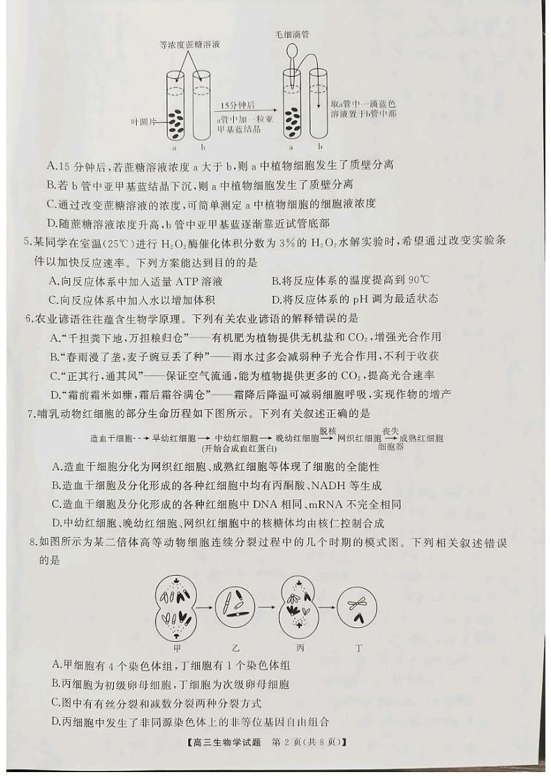 山西省三重教育2025届高三上学期10月联考生物试题02