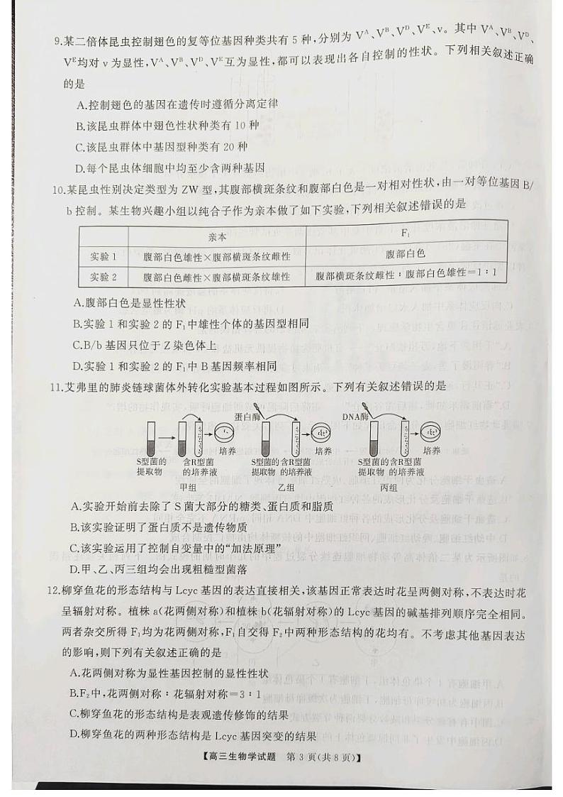 山西省三重教育2025届高三上学期10月联考生物试题03