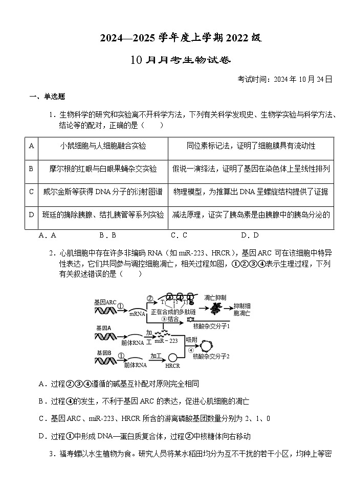 湖北省沙市中学2024-2025学年高三上学期10月月考生物试题及答案01
