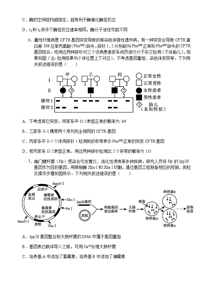 湖北省沙市中学2024-2025学年高三上学期10月月考生物试题及答案03