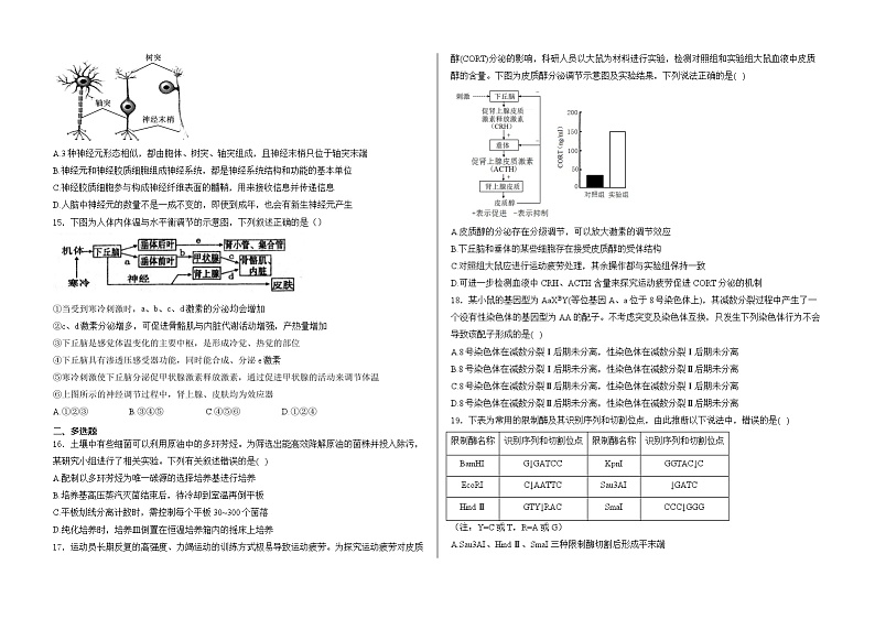 山东省泰安市新泰市紫光实验中学2024-2025学年高三上学期开学考试生物试题第3页